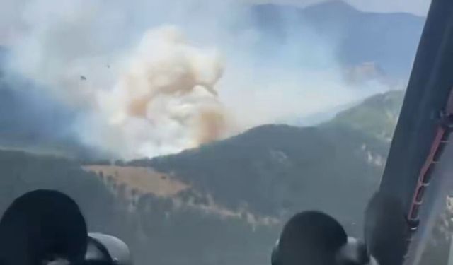 Antalya'da ormanı alevler sardı!