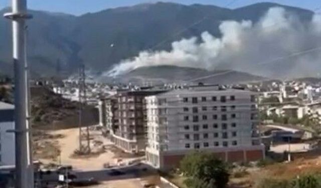 Bursa'da Korkutan Orman Yangını