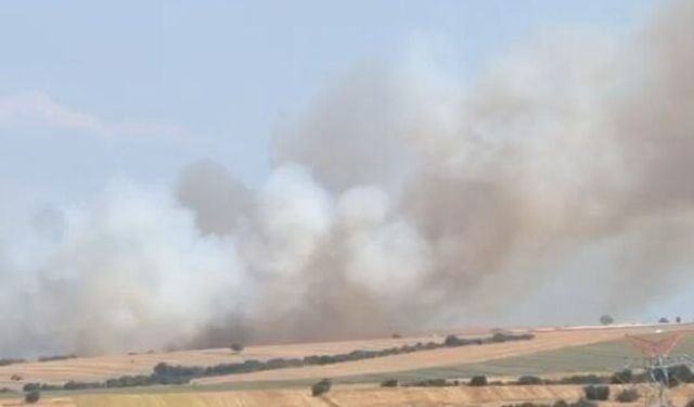 Bursa'da yangın!