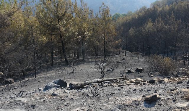 Çine’de Yangına Havadan Müdahale Yeniden Başladı