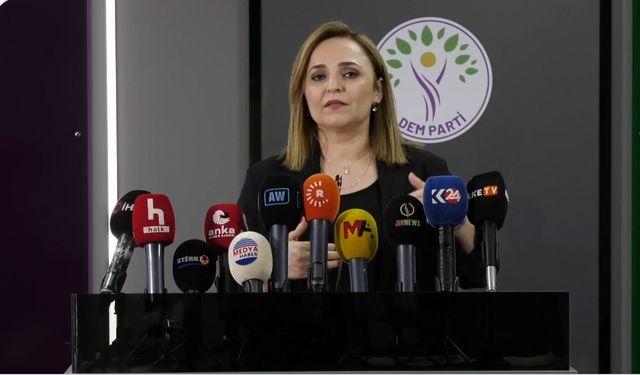 DEM Parti'li Doğan'dan çerçeve yasa açıklaması