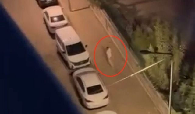 Diyarbakır'da yumruklu kavga!