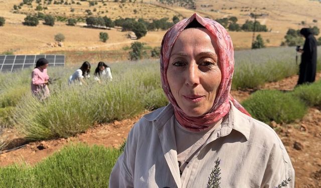 Kadınlar yıllardır atıl olan araziyi lavanta bahçesine dönüştürdü