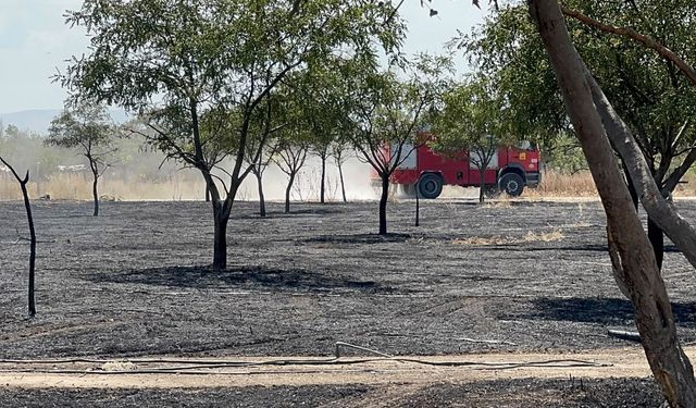 Konya’da ağaçlık alanda yangın: 5 bin metrekare zarar gördü