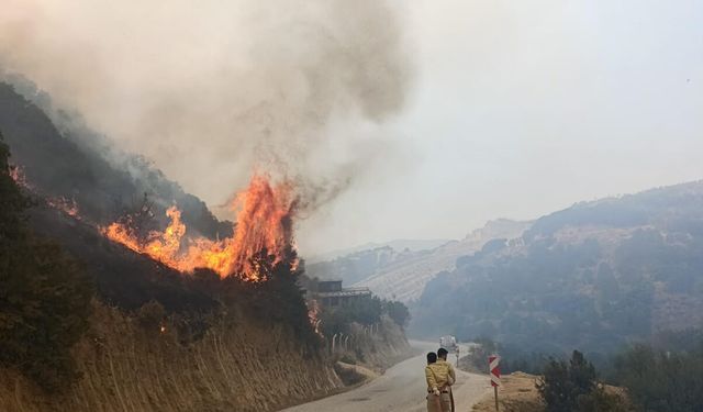 Manisa'da makilik alanda yangın çıktı