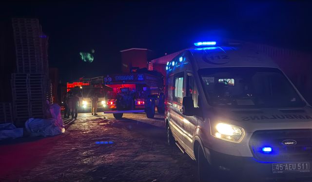 Manisa'da palet fabrikasında çıkan yangın söndürüldü
