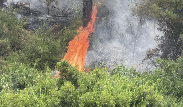 Son 150 yılın en şiddetli El Nino'su mu geliyor?