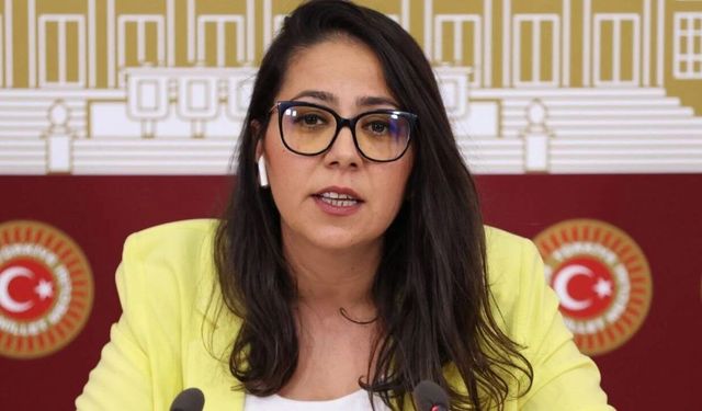 Sera Kadıgil hakkında ‘Cumhurbaşkanına hakaret’ ve ‘Tehdit’ suçlarından soruşturma