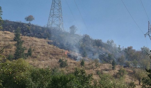 Çankırı'da arazi yangını