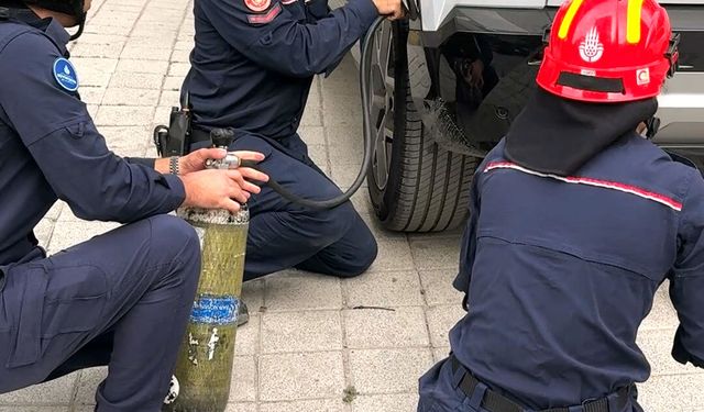 Avcılar'da cipte sıkışan kedi kurtarıldı