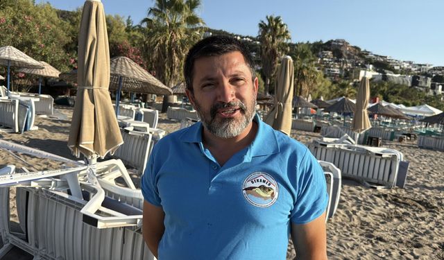 Bodrum’da 62 caretta caretta yavrusu denize ulaştı