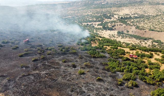 Elazığ'da örtü yangını çıktı