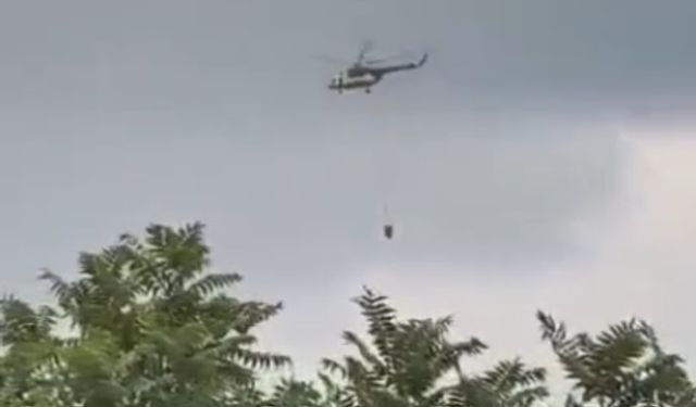 Hatay'da ormanı alevler sardı!