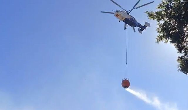 İznik'te orman yangını