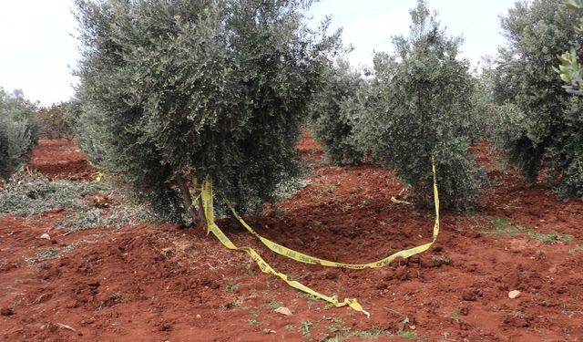 Kilis'te traktörden düşen çiftçi kurtarılamadı