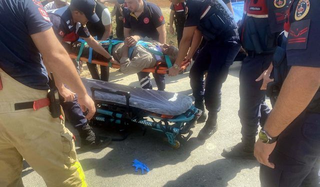 Manisa'da minibüs ağaca çarptı