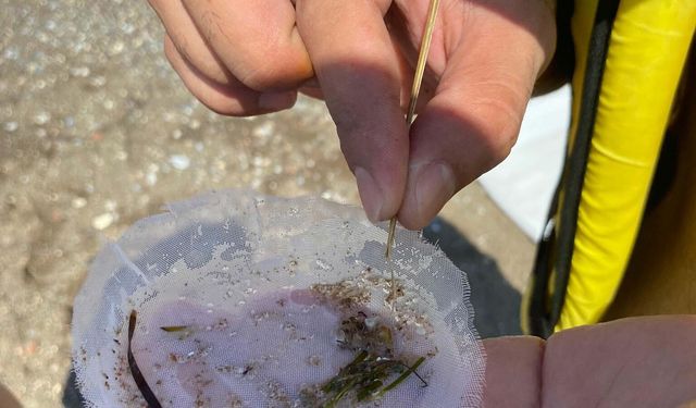 Plastik Üretimi 24 Yılda Yüzde 84 Arttı