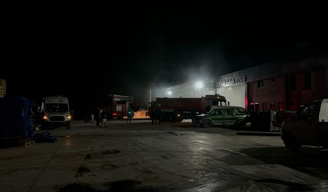 Soğuk hava deposunu alevler sardı!