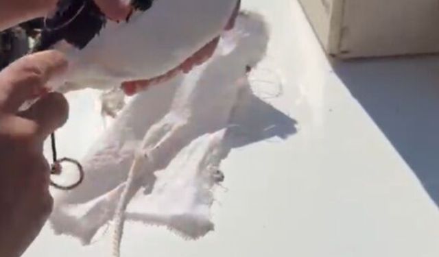 Van'da yasa dışı avcılık yapan şahsa para cezası kesildi