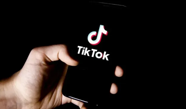 TikTok'a erişim engeli! Kapatılıyor mu?