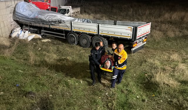 Kontrolünü yitiren TIR tarlaya girdi