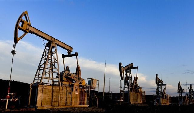 Putin'den petrol tedariği açıklaması
