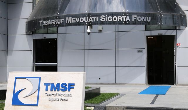 Tera Yatırım Teknoloji Holding’e TMSF Kayyumu Atandı