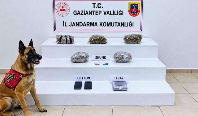 32 şehirde uyuşturucu ya yönelik operasyonu