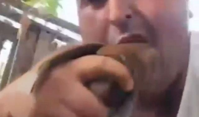 Alanya’daki Kuş Katliamı Cezasız Kalmadı: Görüntüleri Paylaşan Şahıs Tutuklandı