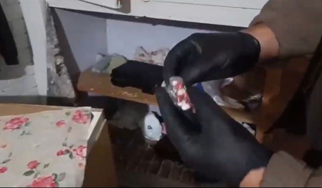Balıkesir'de silah kaçakçılığı operasyonu
