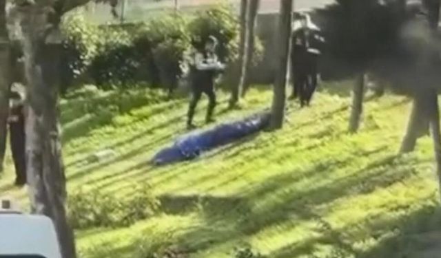 Esenler'de Metro İstasyonu Yakınında Şüpheli Ölüm