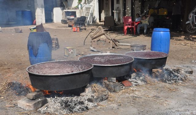 Gaziantep'te Pekmez Mesaisi Başladı