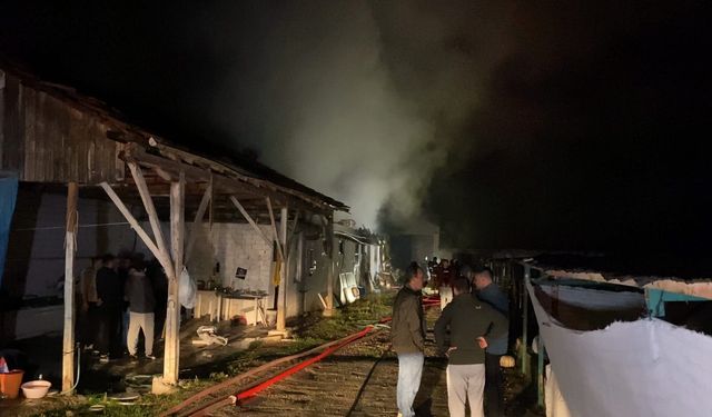 İnegöl'de hayvan çiftliğinde yangın