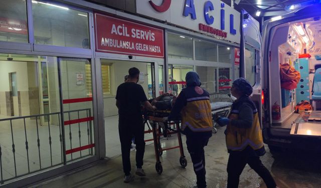 Kozan'da hafif ticari araç kanala düştü