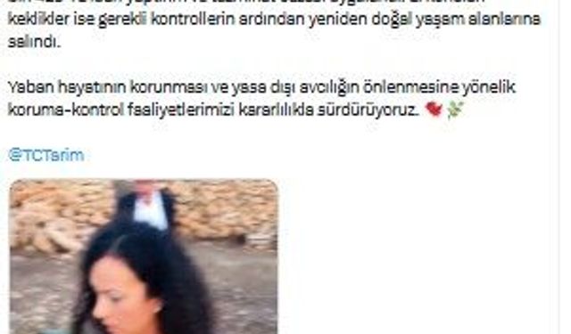 Midyat’ta Yasa Dışı Av Denetimi: 22 Kınalı Keklik Doğaya Salındı