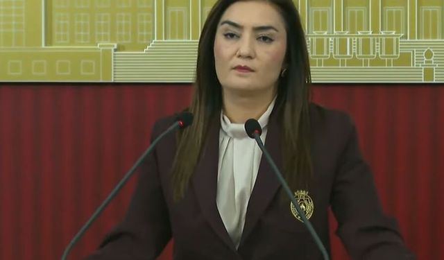 'Savaş ve Barış Meselelerinde Meclis Seyirci Bırakılmamalı'