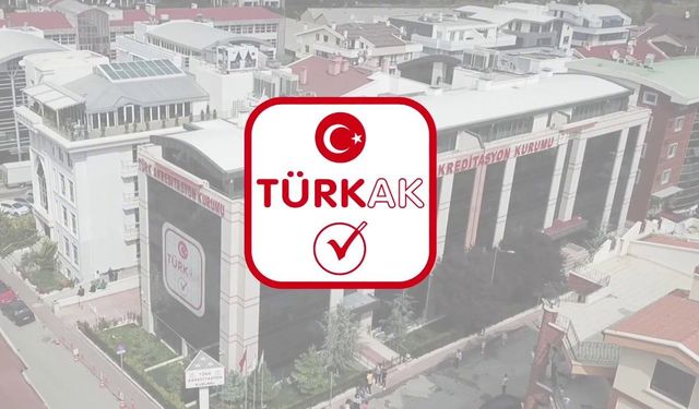 ELEKTRİK ENERJİSİ VE DOĞALGAZ SATIN ALINACAKTIR