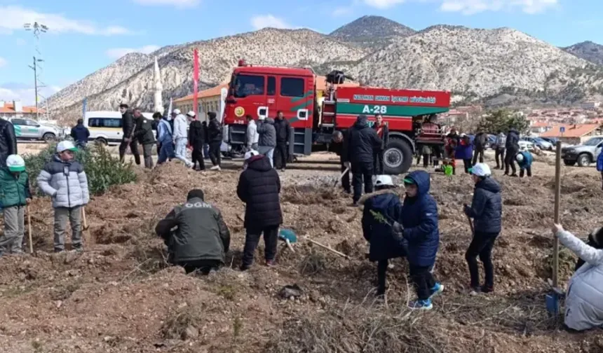 Nallıhan'da 21 Mart Dünya Ormancılık Günü kutlandı