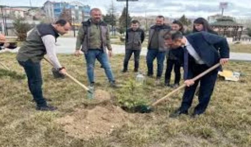 Beypazarı'nda Ormancılık Günü ve Orman Haftası etkinliği