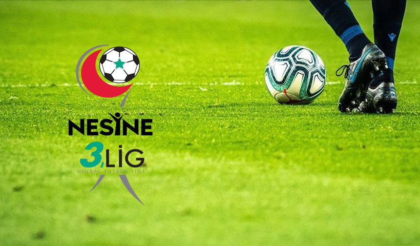 Nesine 3.Lig'de şampiyonlar ve düşenler belli oldu