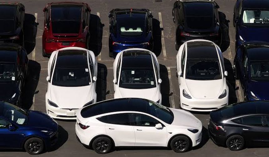 Tesla’ya Toplu Dava