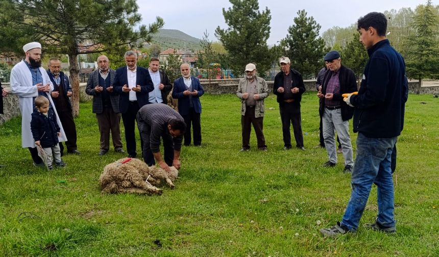 Çankırı Dodurga'da şükür kurbanı etkinliği