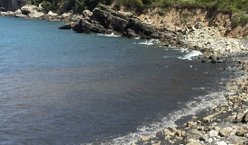 Amasra'da kirlilik alarmı