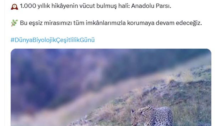 Bakan Yumaklı'dan 'Anadolu parsı' Gönderisi