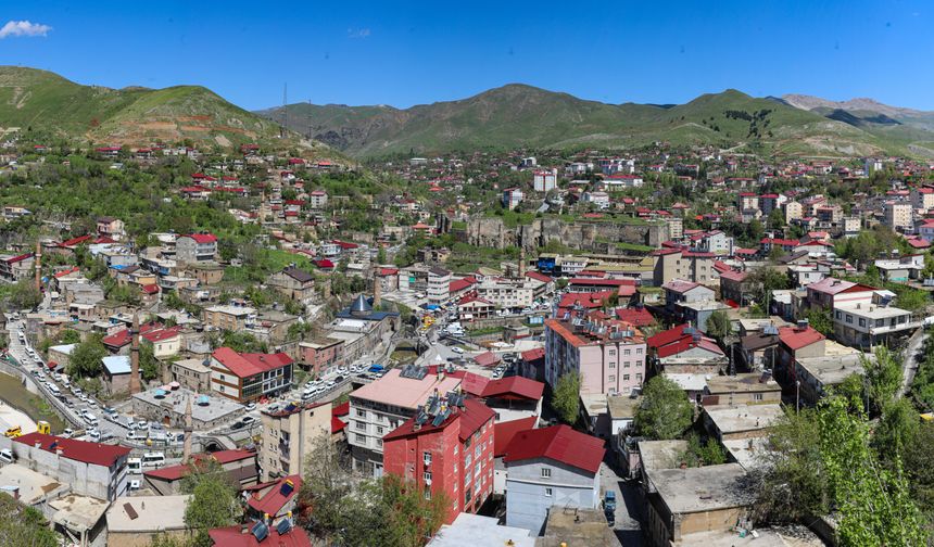 ‘Bitlis Beş Minare Uluslararası Film Festivali’ başlıyor