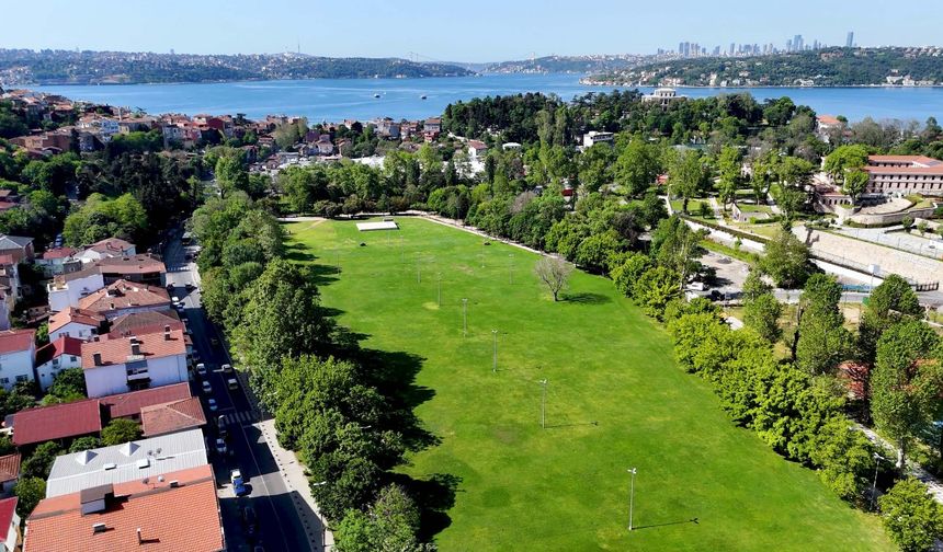 "Çevrene İyi Bak": Türkiye Çevre Haftası Başlıyor!
