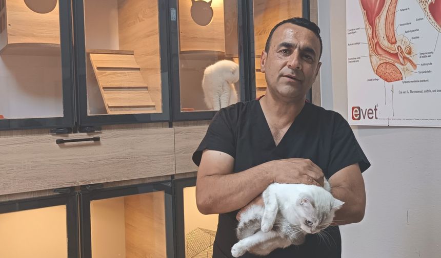 Hayvanların Şifacısı ve Umut Elçisi: Veteriner Hekimin Dokunuşu