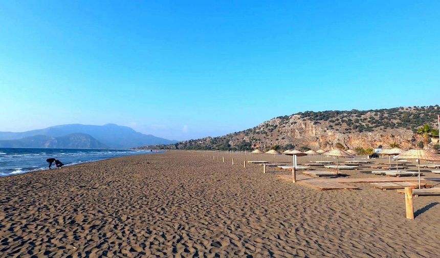 İztuzu Plajı'nda Caretta Yuvası 100'ü Geçti