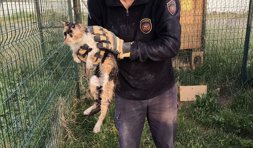 Bina Boşluğuna Düşen Kedi İçin İtfaiye Seferber Oldu