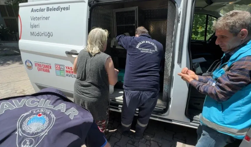 Avcılar'da çöp ev ihbarı